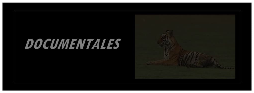 03-DOCUMENTALES