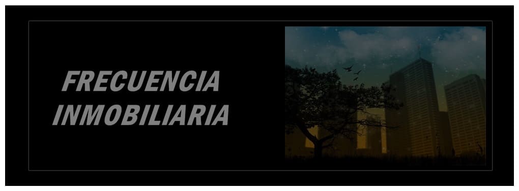 17-FRECUENCIA INMOBILIARIA