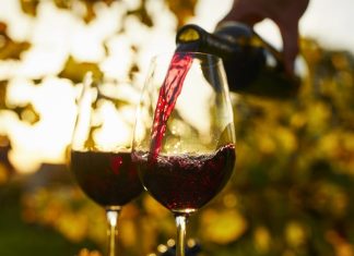 El Gobierno eliminó más de 970 normas para acelerar los procesos vinculados a la industria vitivinícola