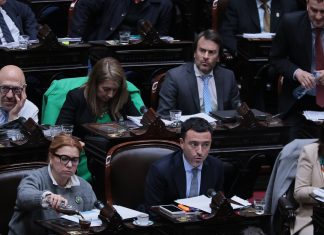 Gráfico interactivo: quiénes fueron los diputados más “rebeldes” y cuál fue el bloque más cercano al Gobierno