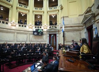 Presupuesto 2026: cuáles son los artículos que la oposición buscará eliminar en el Senado