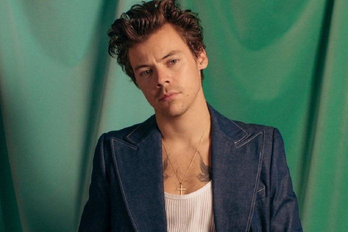 Harry Styles anuncia un show único que podrá verse en Netflix