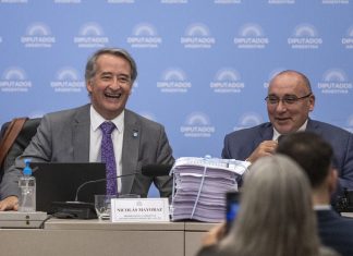 “Silencio, cállense la boca”: a los gritos y golpes de mesa, una disertante irrumpió en la audiencia por la Ley de Glaciares