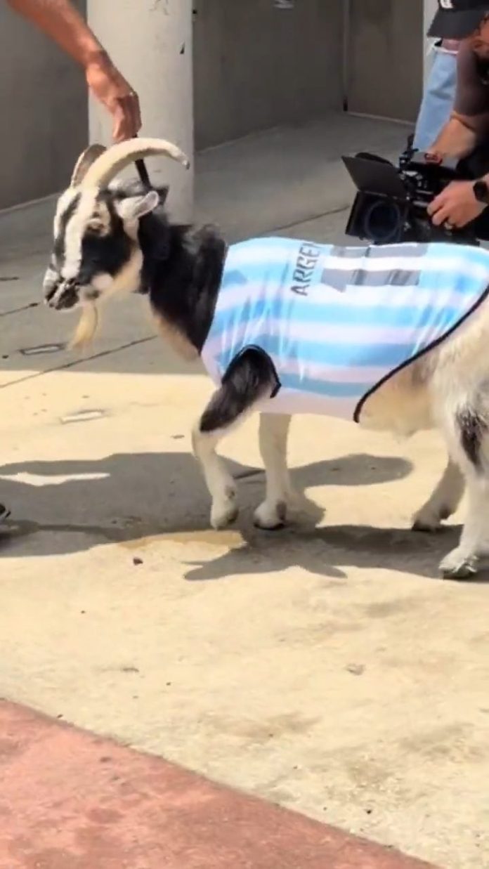Una estrella de la NFL rindió homenaje a Lionel Messi con una cabra en el Mundial