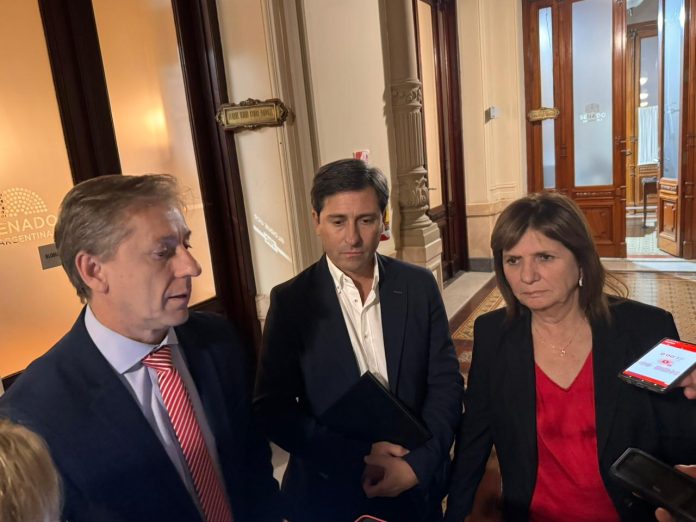 Senado: libertarios y aliados quieren sesionar el miércoles 8 para aprobar la ley de propiedad privada
