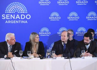 El Gobierno busca blindar el Súper RIGI: el secretario de Hacienda irá al Senado por pedido de la oposición