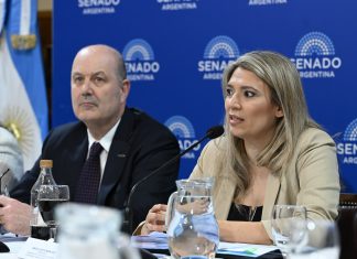 El Senado reanuda el debate por la ley de Sociedades: expondrán ex funcionarios y una empresa geoespacial