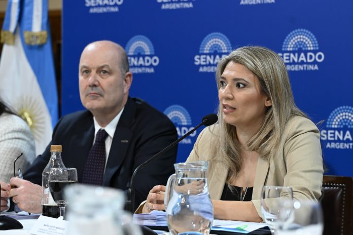 El Senado reanuda el debate por la ley de Sociedades: expondrán ex funcionarios y una empresa geoespacial