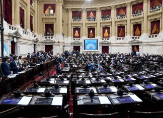 Diputados, en vivo: últimas noticias del debate sobre discapacidad, endeudamiento familiar y propiedad privada