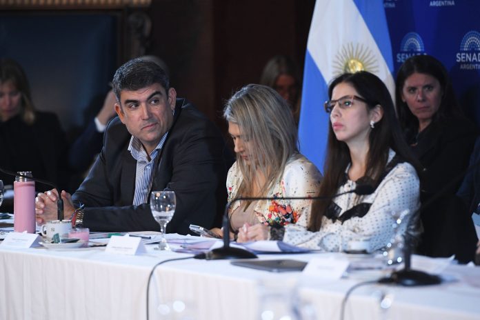En plena puja con los aliados, el Gobierno busca acelerar un acuerdo en el Senado para cambiar la ley de salud mental