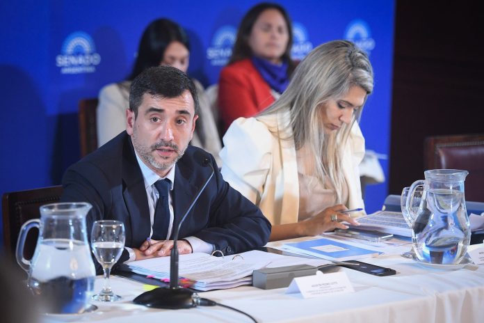 Propiedad privada: se demora en el Senado el dictamen que incluye límites a la venta de tierra a extranjeros